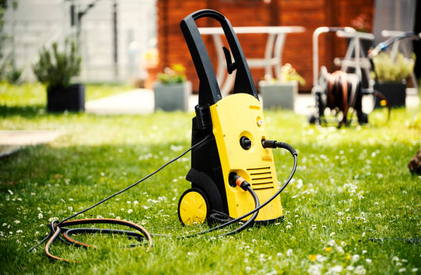 Animal Enclosure Cleaning in West Canton, NC